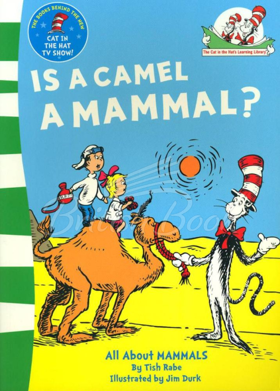 Книга Is a Camel a Mammal? зображення