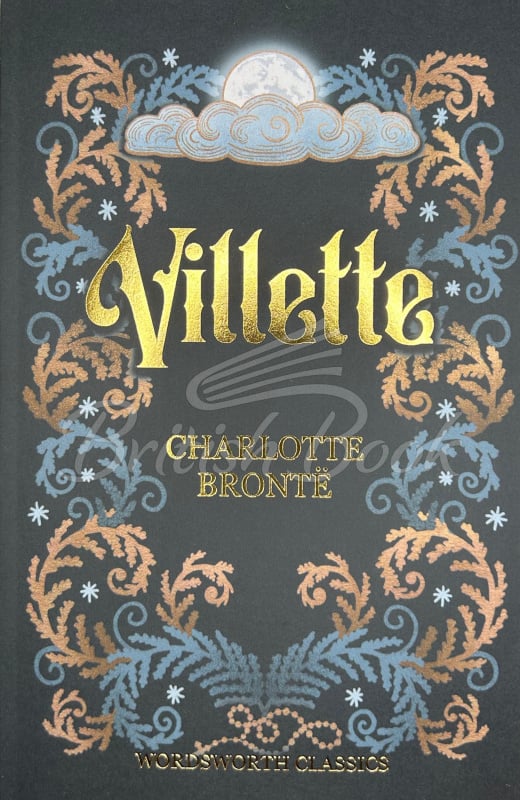 Книга Villette зображення