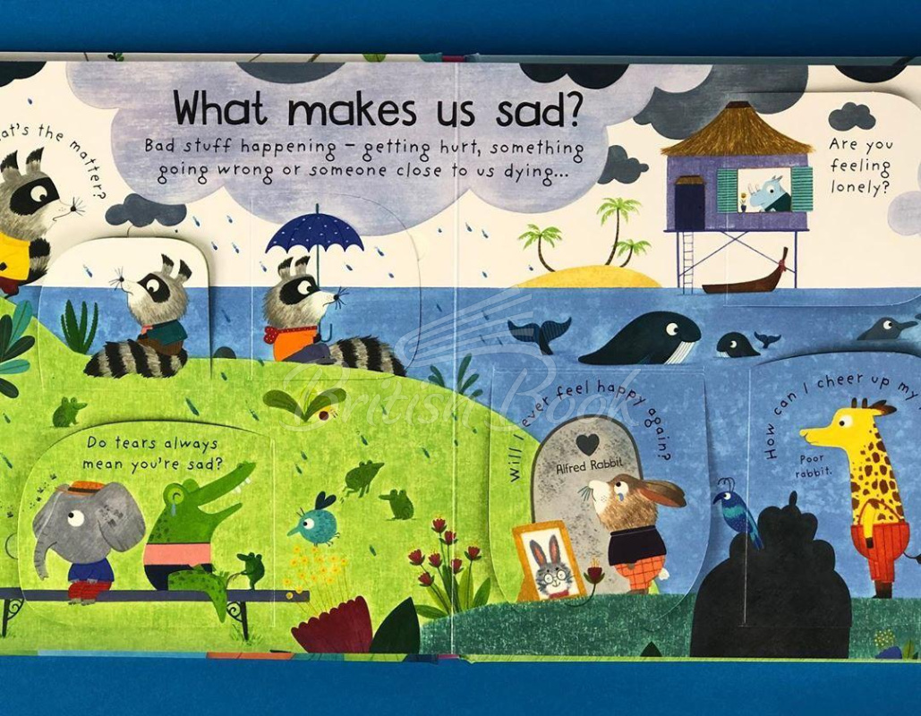Книга Lift-the-Flap First Questions and Answers: What Are Feelings? зображення 5