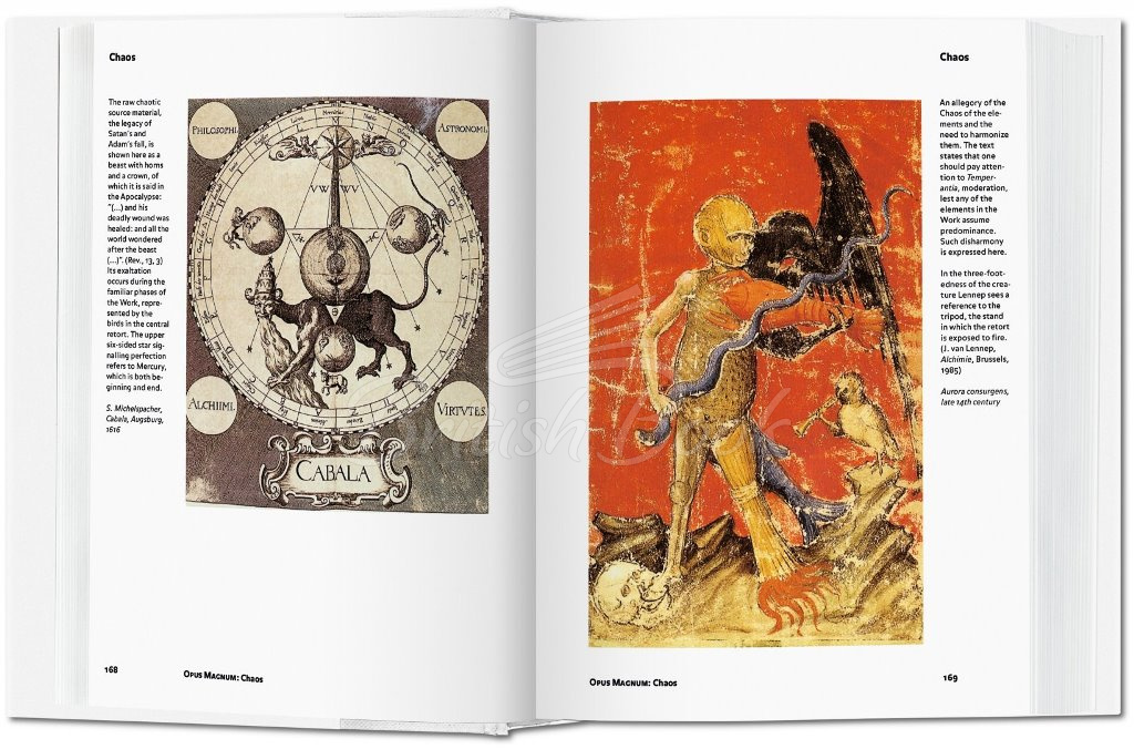 Книга Alchemy and Mysticism изображение 4