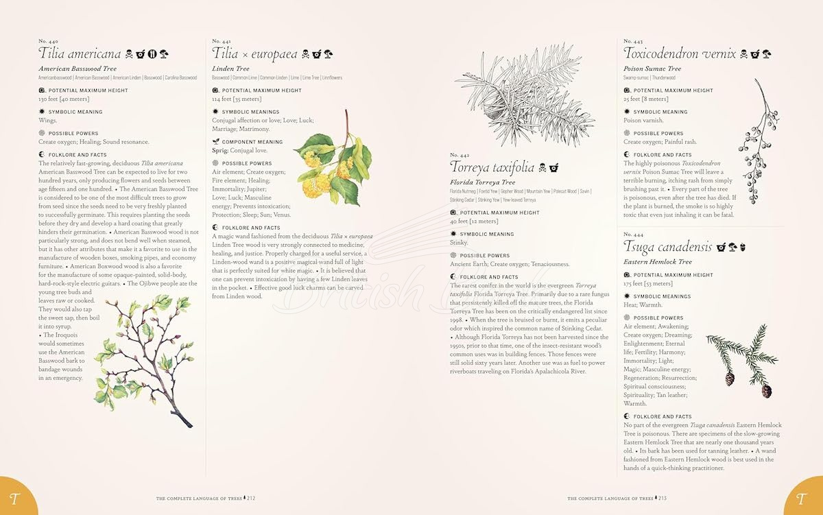 Книга The Complete Language of Trees (Pocket Edition) изображение 4