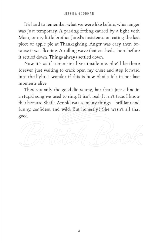 Книга They Wish They Were Us изображение 2