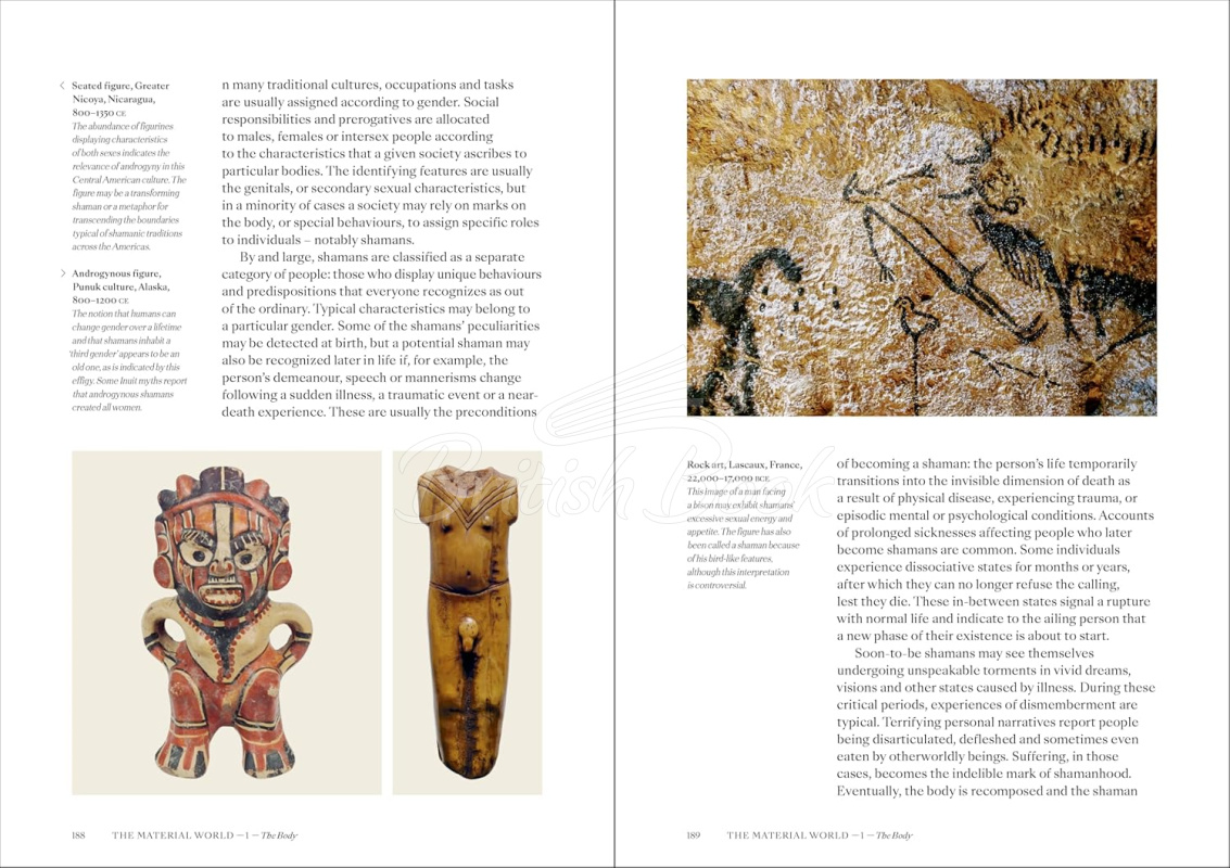 Книга Shamans: The Visual Culture of Animism, Healing and Journeys to Other Planes изображение 12