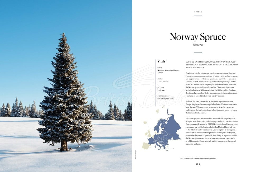 Книга The Tree Atlas зображення 9