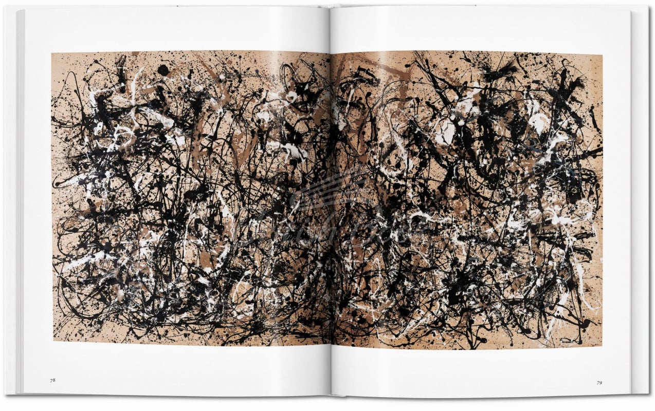 Книга Pollock зображення 5