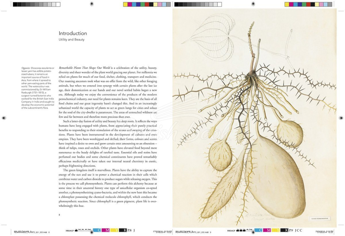 Книга Remarkable Plants изображение 3