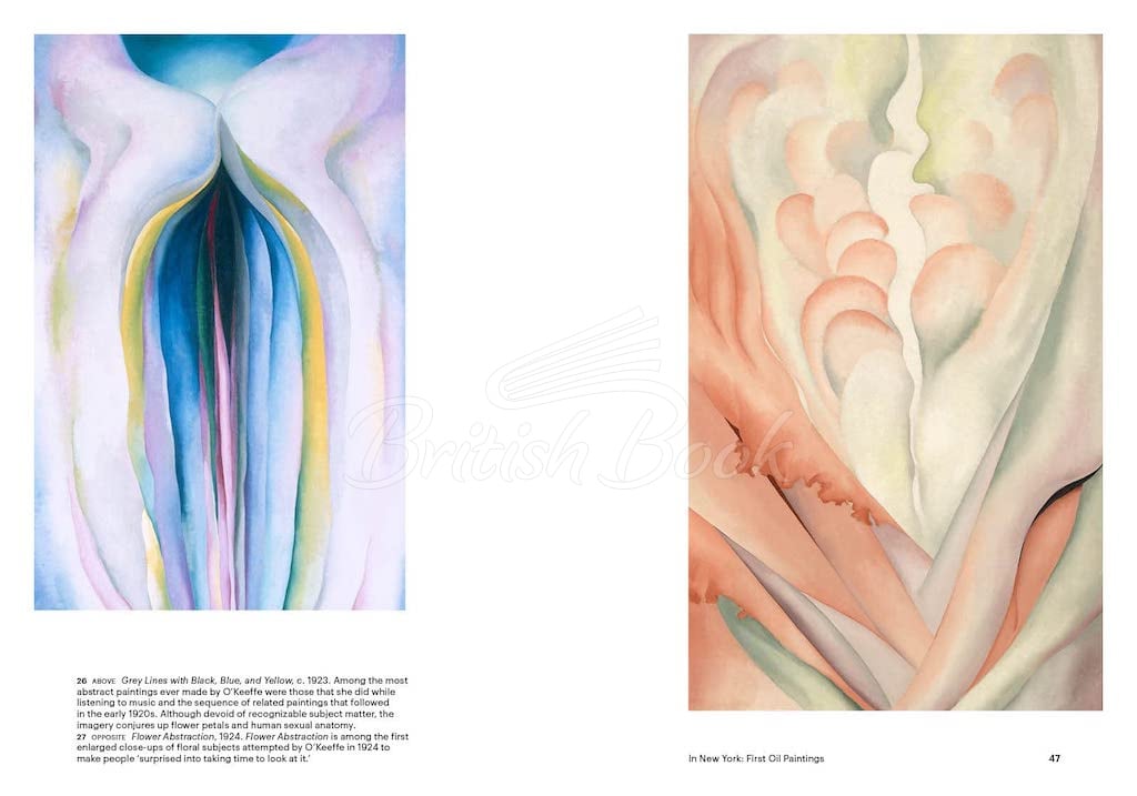 Книга Georgia O'Keeffe зображення 4