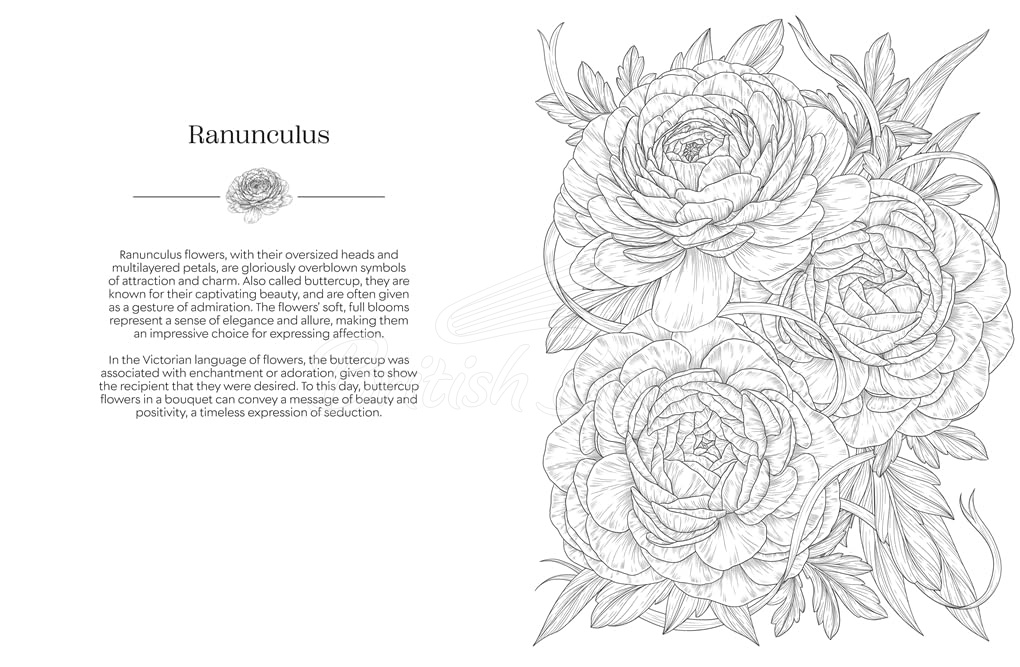 Книга The Language of Flowers Colouring Book: Botanicals from Around the World and their Meanings изображение 3