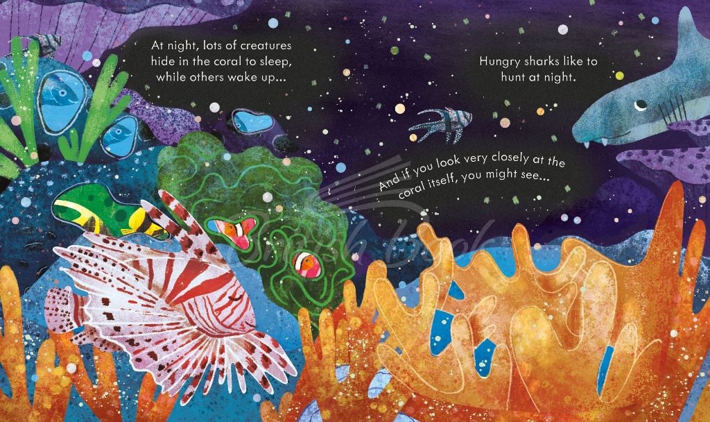 Книга Peep inside a Coral Reef зображення 3