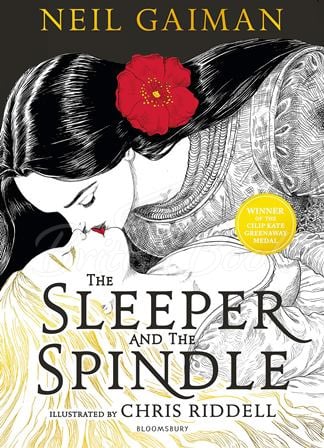 Книга The Sleeper and the Spindle зображення
