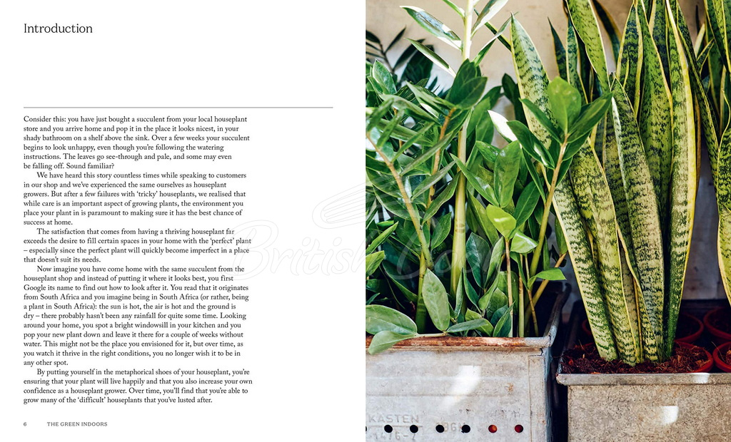 Книга The Green Indoors: Finding the Right Plants for Your Home Environment зображення 2