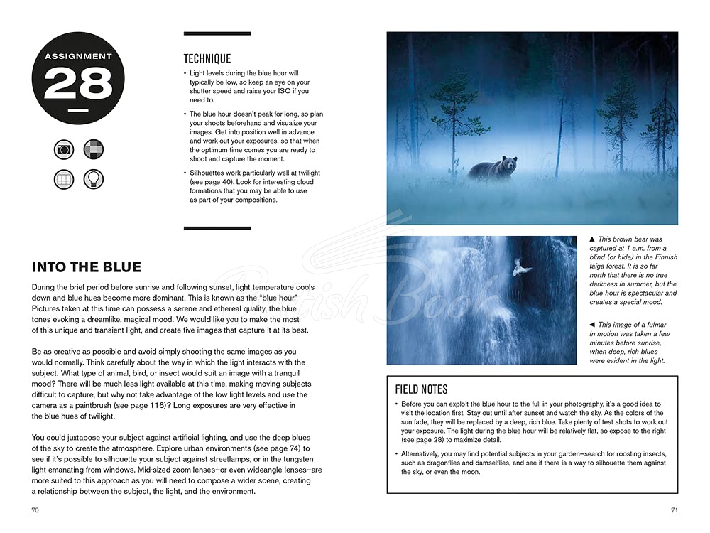 Книга 52 Assignments: Nature Photography зображення 5