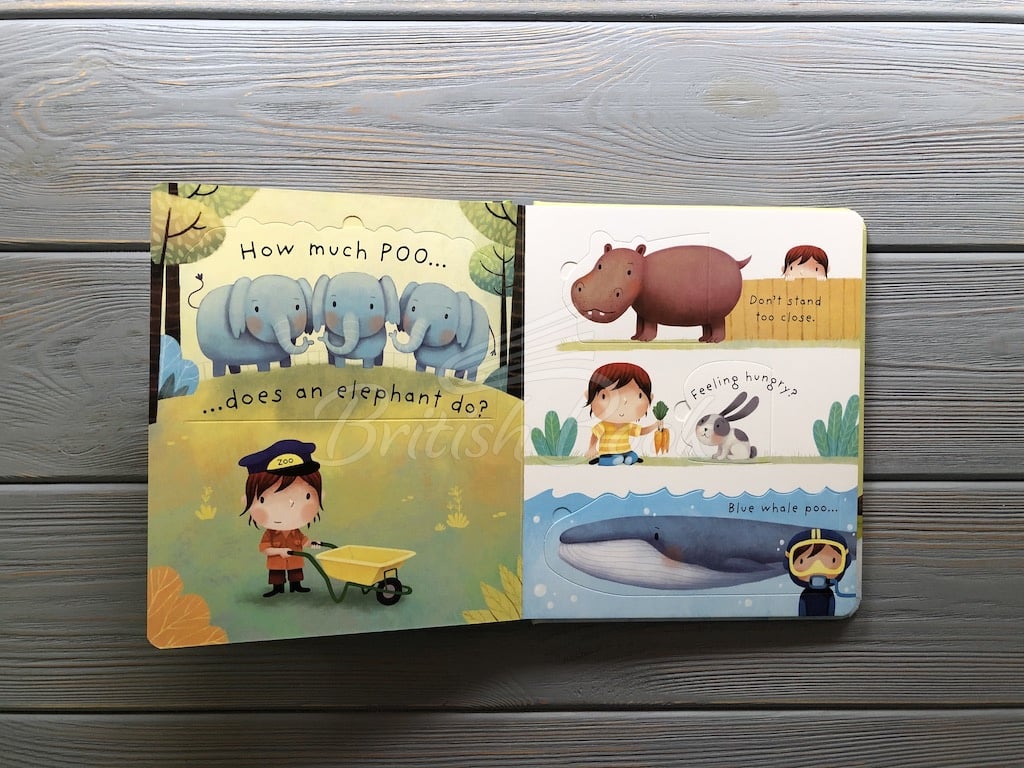 Книга Lift-the-Flap Very First Questions and Answers: What is Poo? зображення 5
