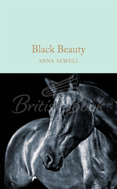 Книга Black Beauty зображення