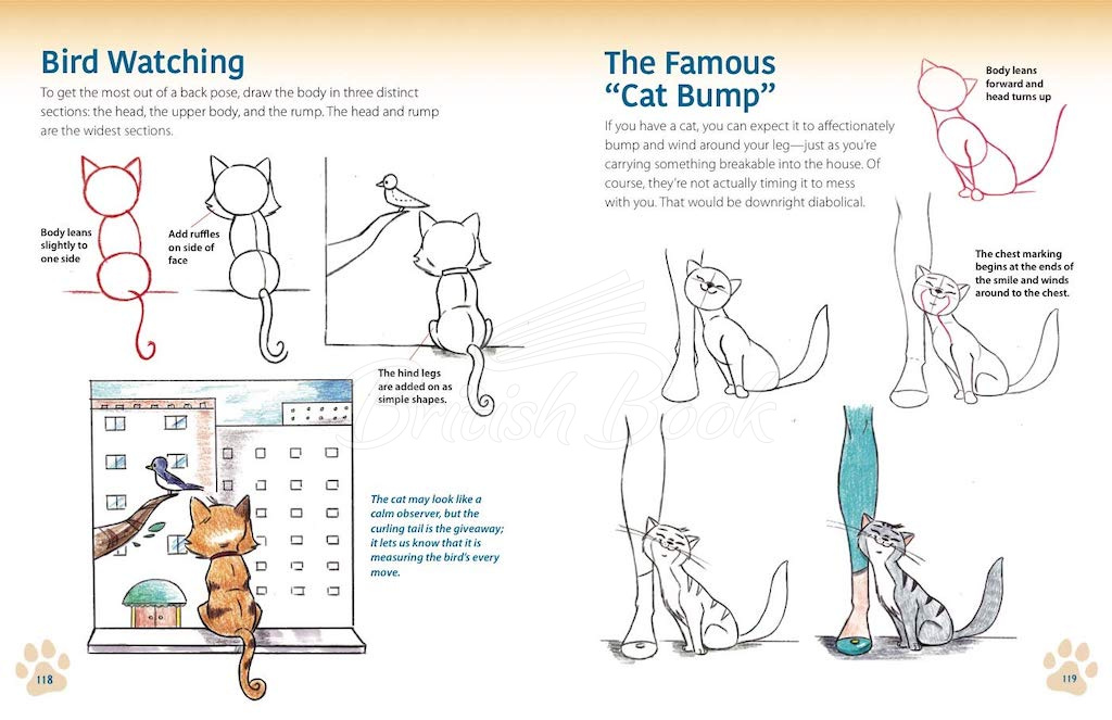 Книга How to Draw Dogs and Cats from Simple Templates зображення 1