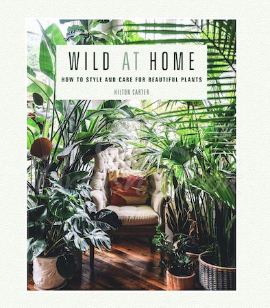 Книга Wild at Home зображення