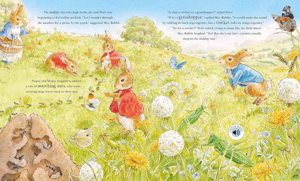 Книга Peter Rabbit: Peter's Nature Walk  изображение 7