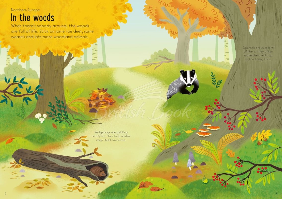 Книга Little First Stickers: Nature изображение 3