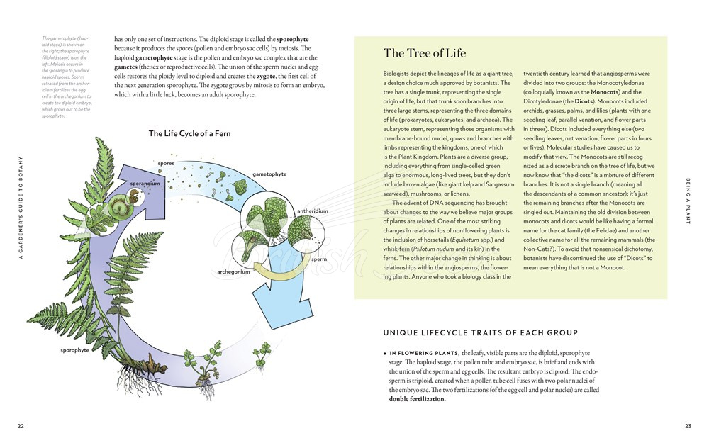 Книга A Gardener's Guide to Botany зображення 2