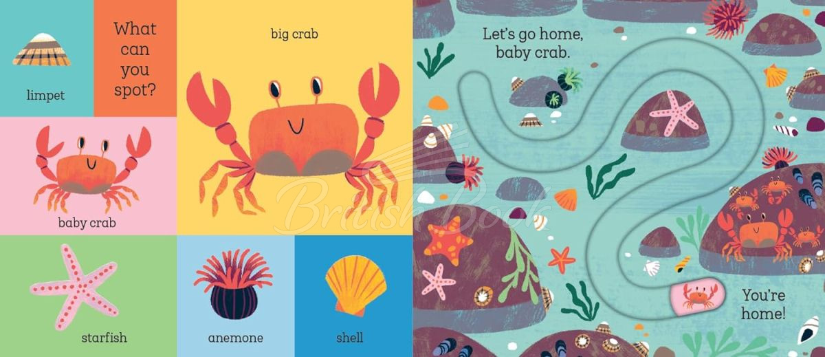 Книга Let's Go Home, Baby Shark изображение 3