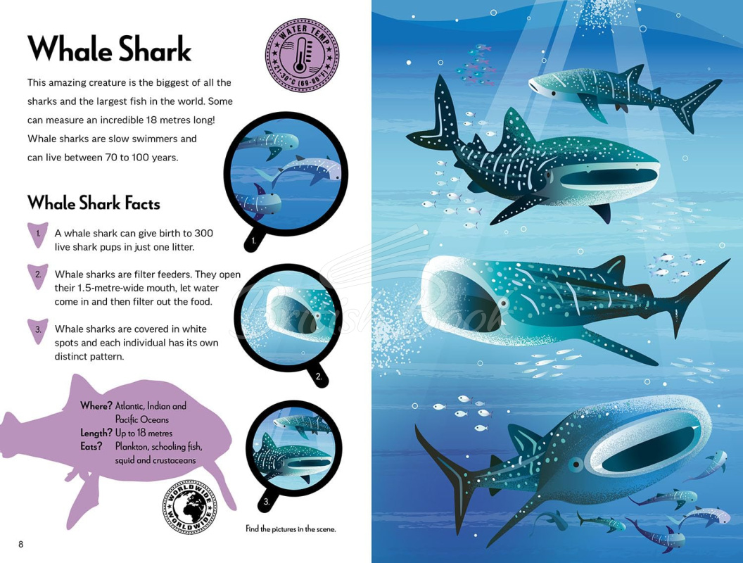 Книга Fantastic Fearsome Sharks изображение 4