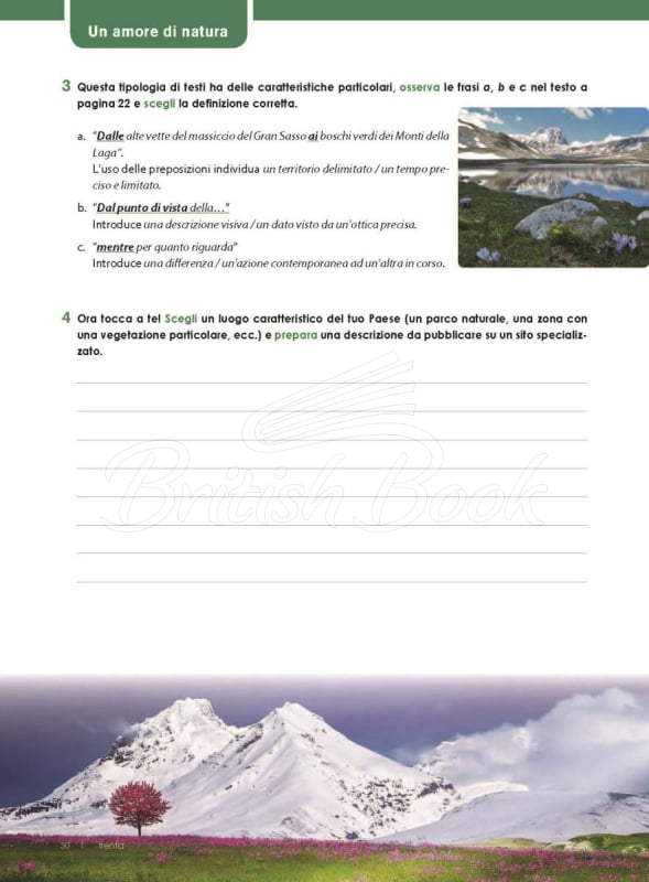 Підручник in alto! B1 con CD audio e Videogrammatica зображення 26