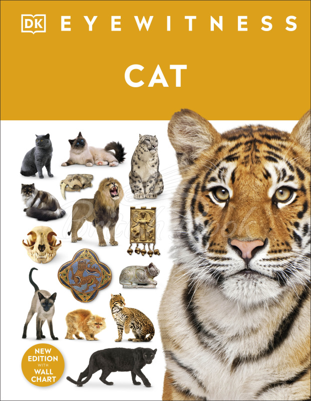 Книга Cat зображення
