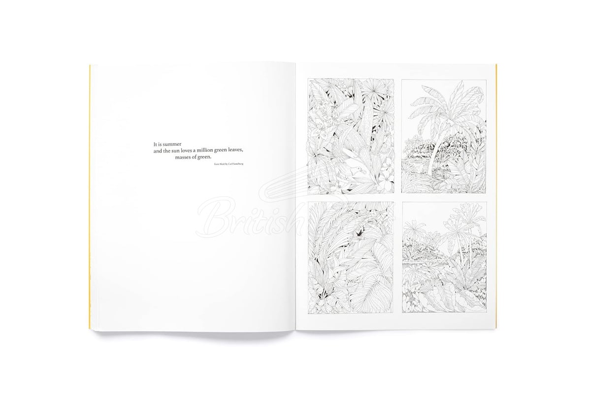 Книга An Intricate Colouring Book: Leila Duly's Beautiful Planet изображение 4