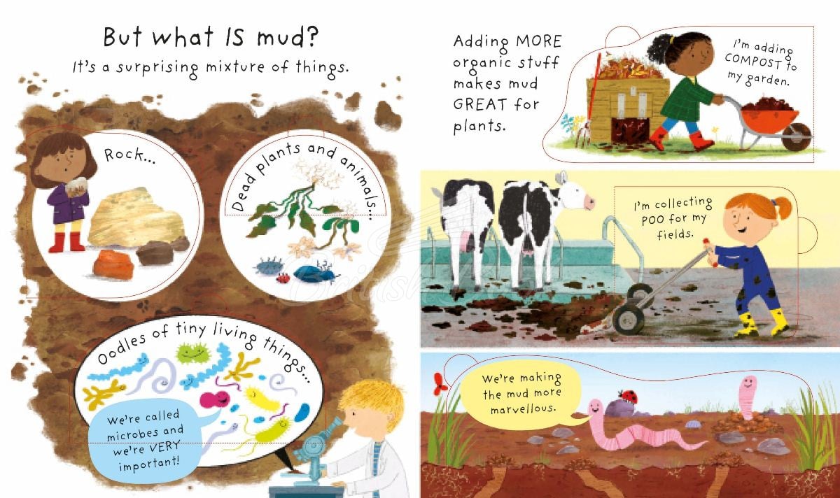 Книга Lift-the-Flap Very First Questions and Answers: What is Mud? зображення 2