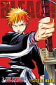 Bleach: 3-in-1 Edition Vol. 1