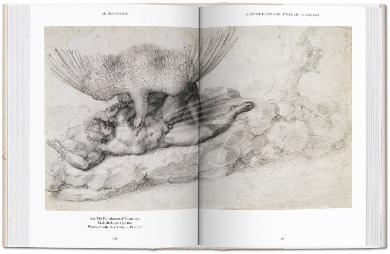 Книга Michelangelo. The Graphic Work зображення 6