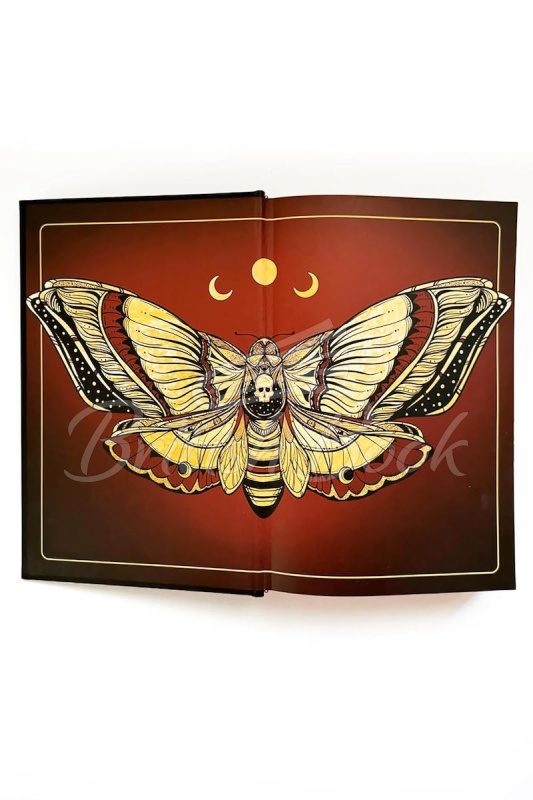 Книга The Last One (Deluxe Limited Edition) изображение 2