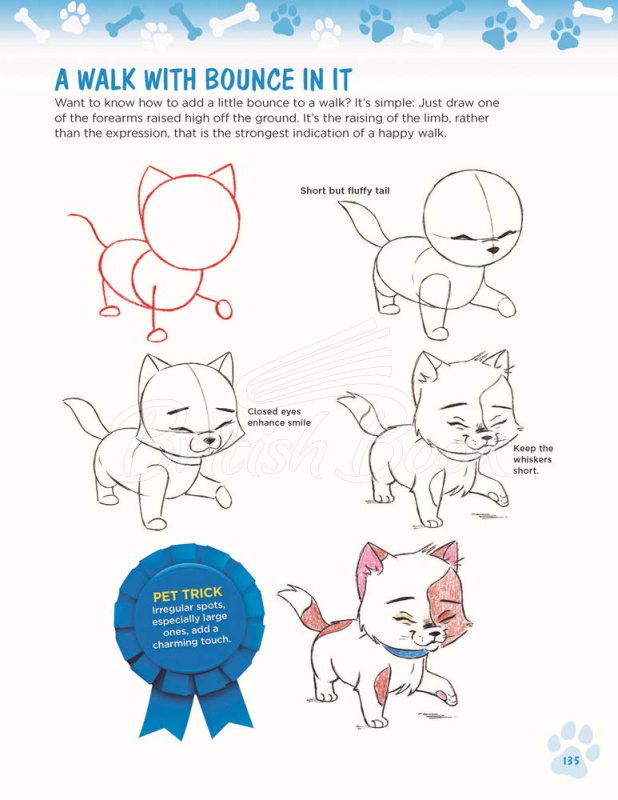 Книга How to Draw Dogs and Cats from Simple Templates зображення 6