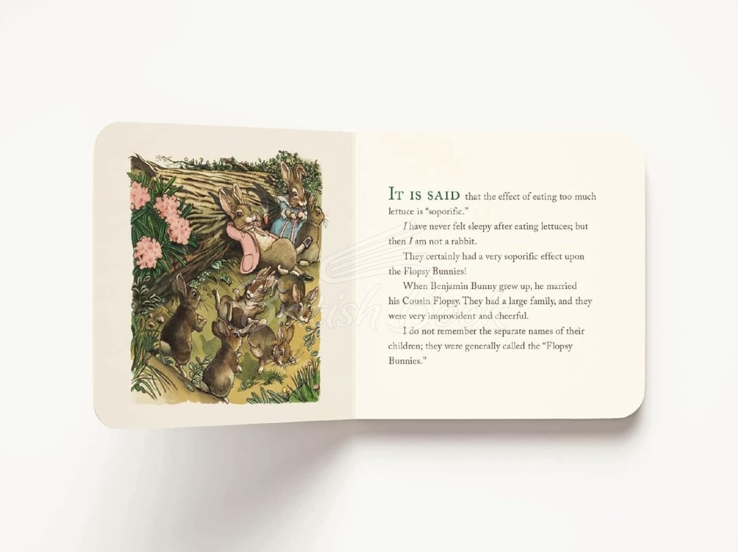 Набір книжок The Peter Rabbit Classic Collection зображення 6