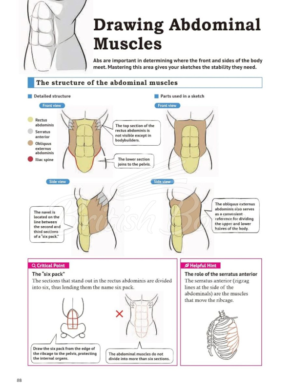 Книга How to Create Manga: Drawing the Human Body зображення 9