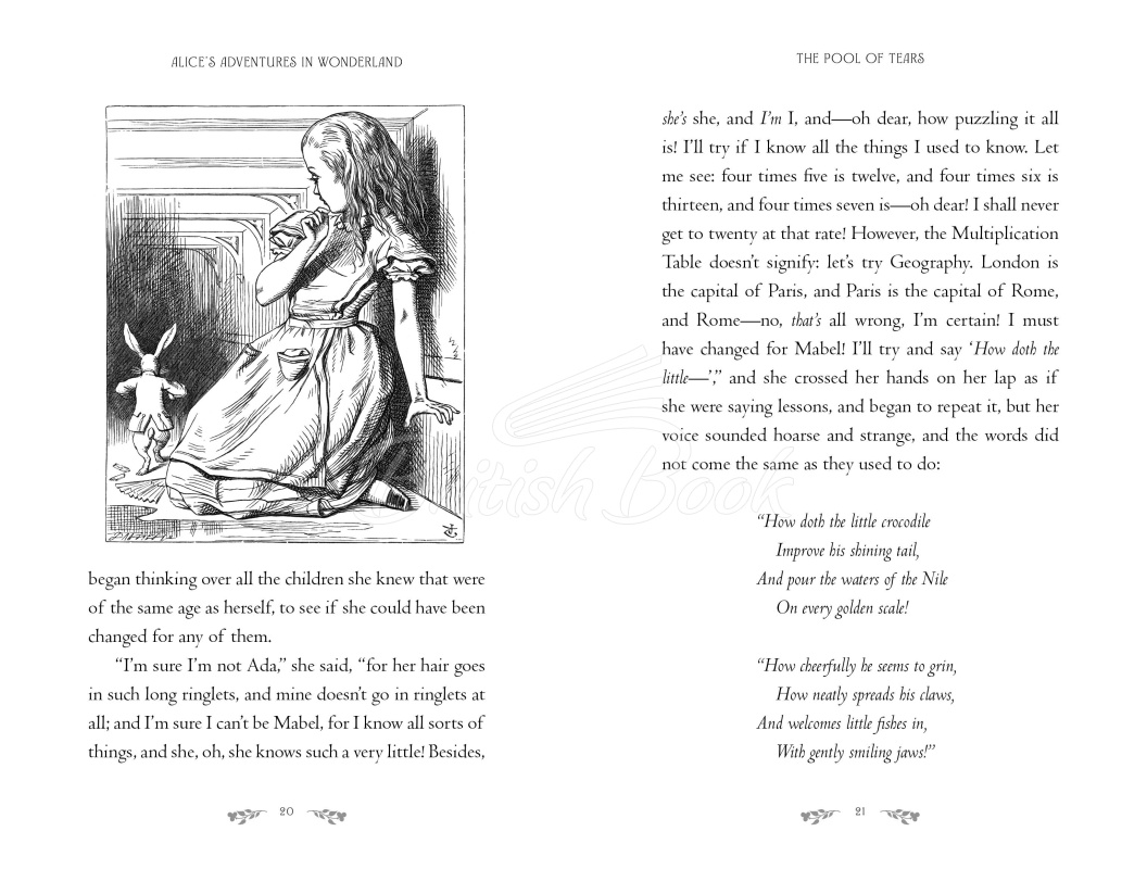 Книга Alice's Adventures in Wonderland (Gift Edition) зображення 2