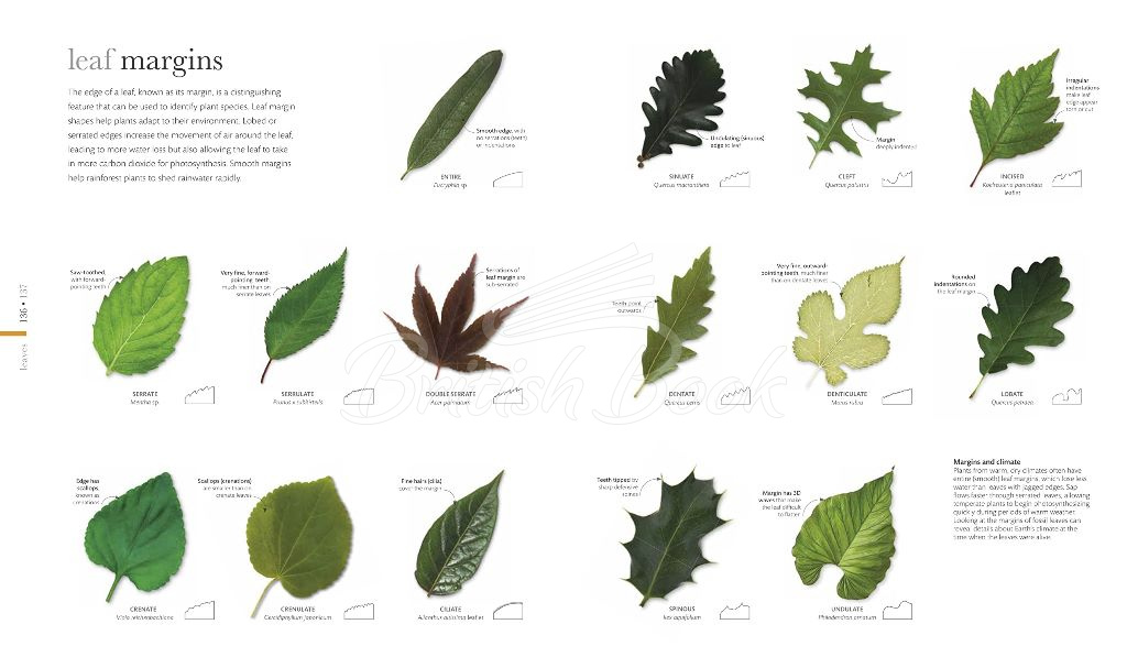 Книга The Science of Plants изображение 6