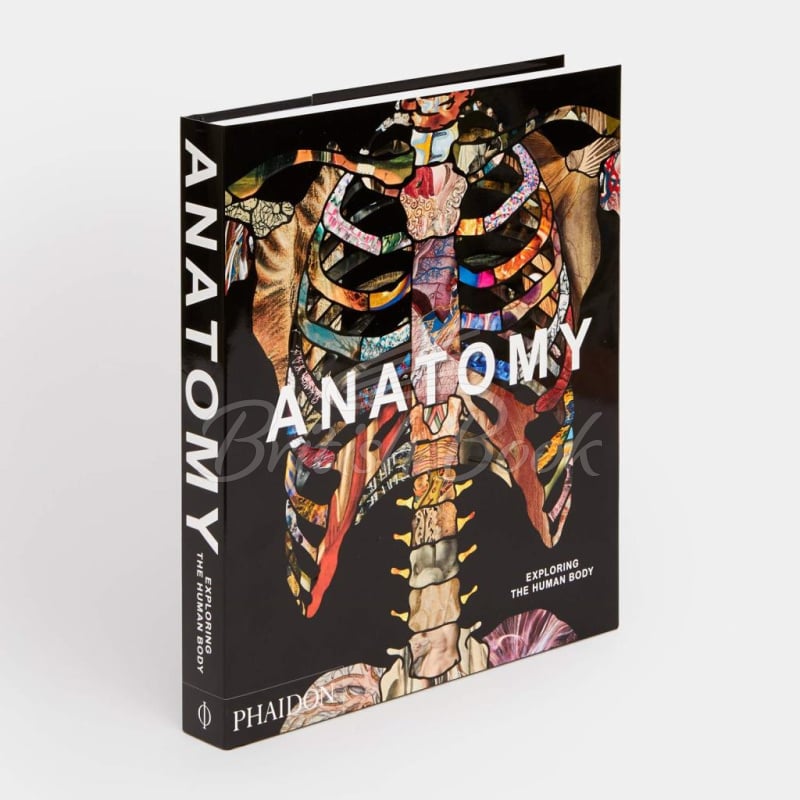 Книга Anatomy: Exploring the Human Body зображення 1