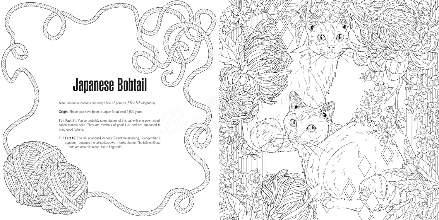 Книга Cats: A Smithsonian Coloring Book зображення 7