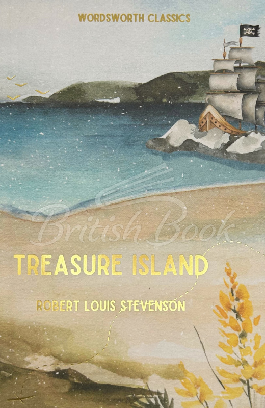 Книга Treasure Island зображення