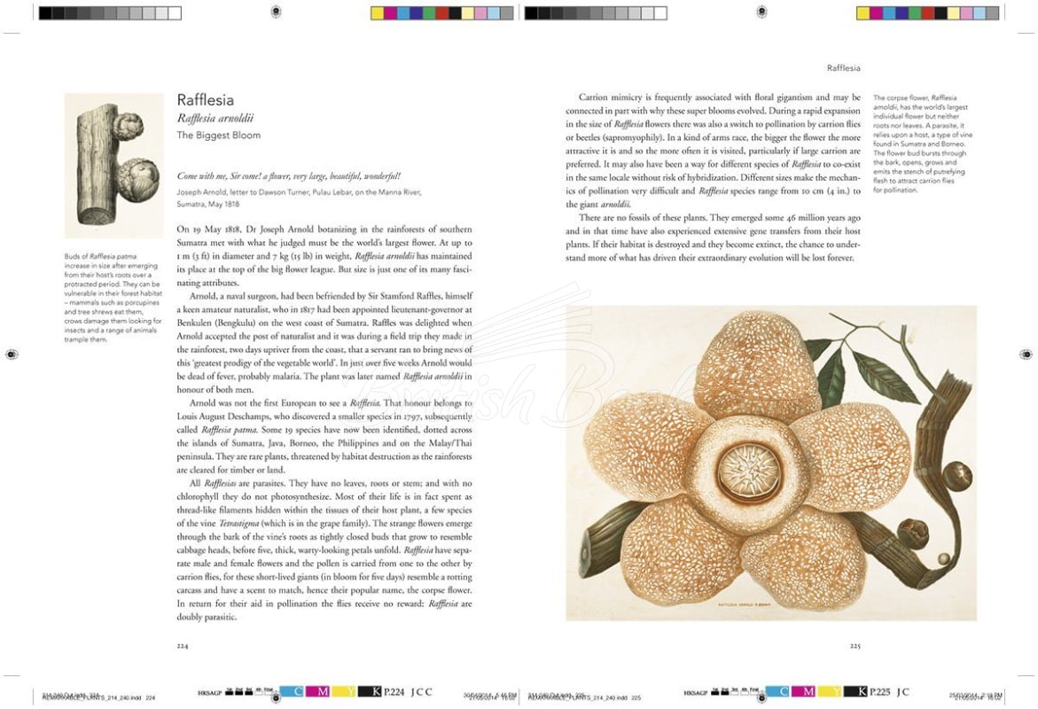 Книга Remarkable Plants изображение 12
