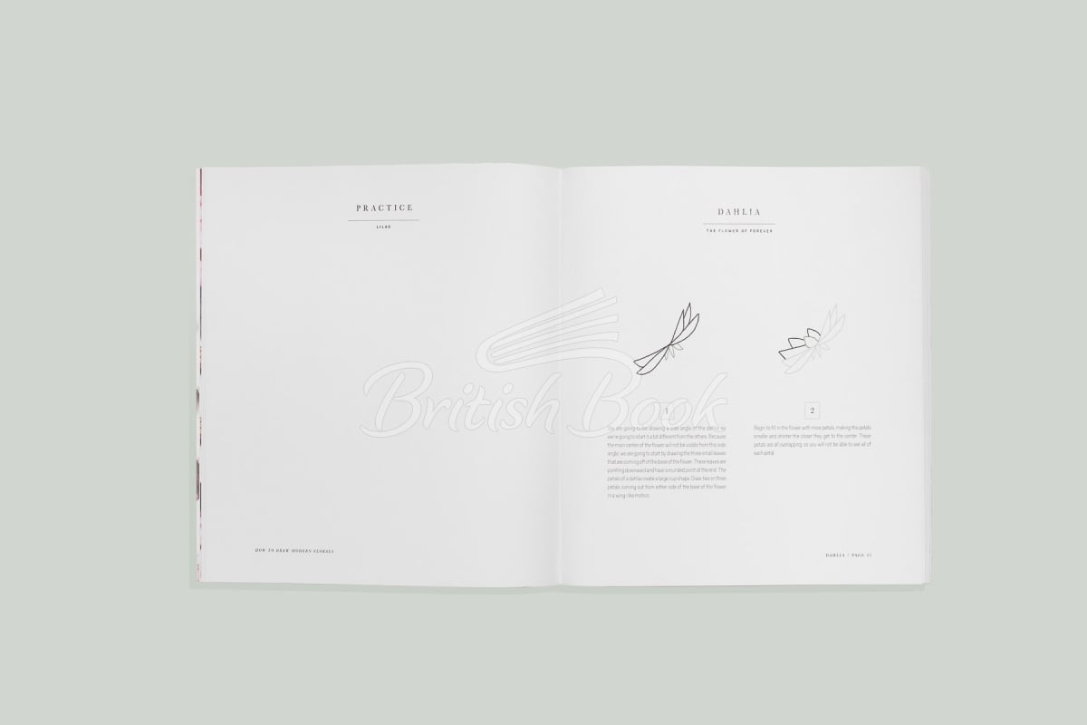 Книга How to Draw Modern Florals изображение 2