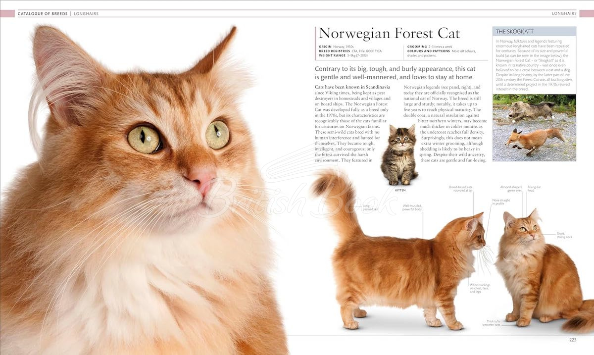 Книга The Cat Encyclopedia изображение 10