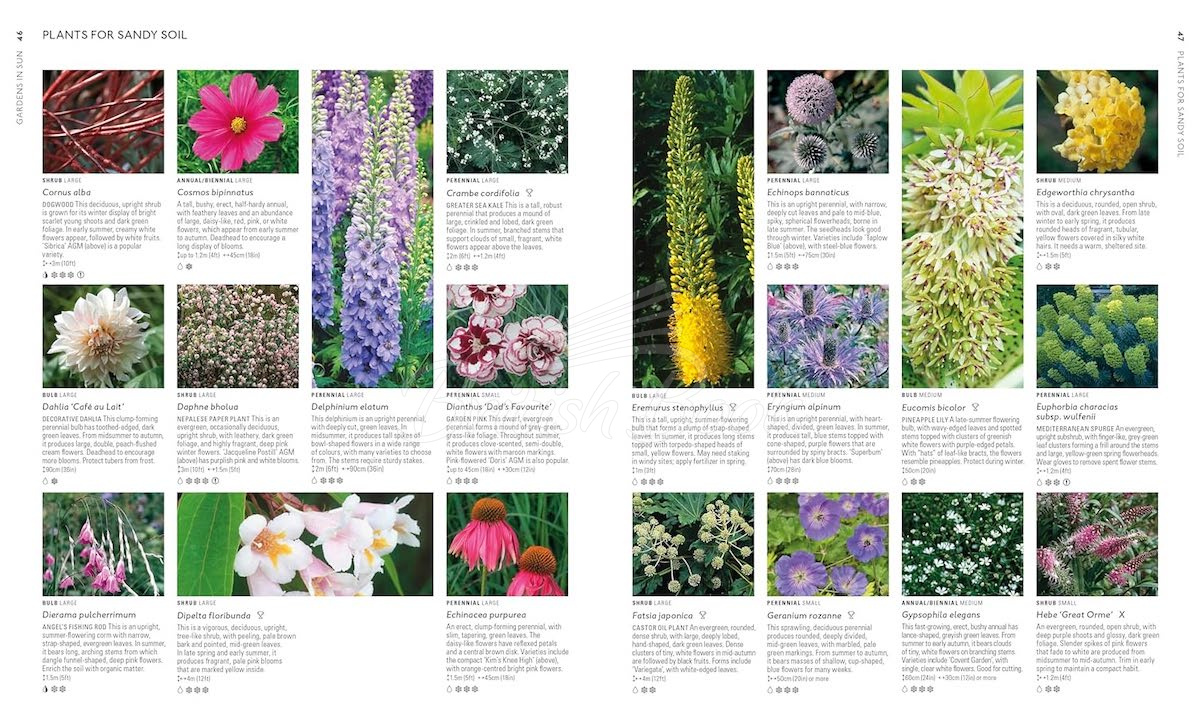 Книга RHS What Plant Where Encyclopedia изображение 5