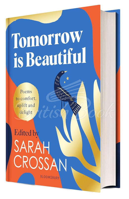 Книга Tomorrow Is Beautiful изображение 2