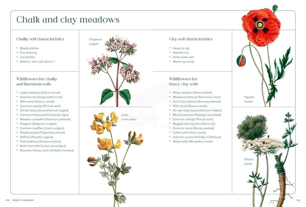 Книга RHS Horti Curious: A Gardener's Miscellany of Fascinating Facts & Remarkable Plants зображення 4