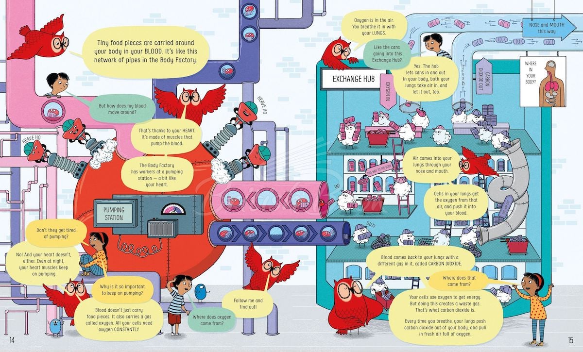 Книга Usborne Book of the Body and How it Works зображення 4
