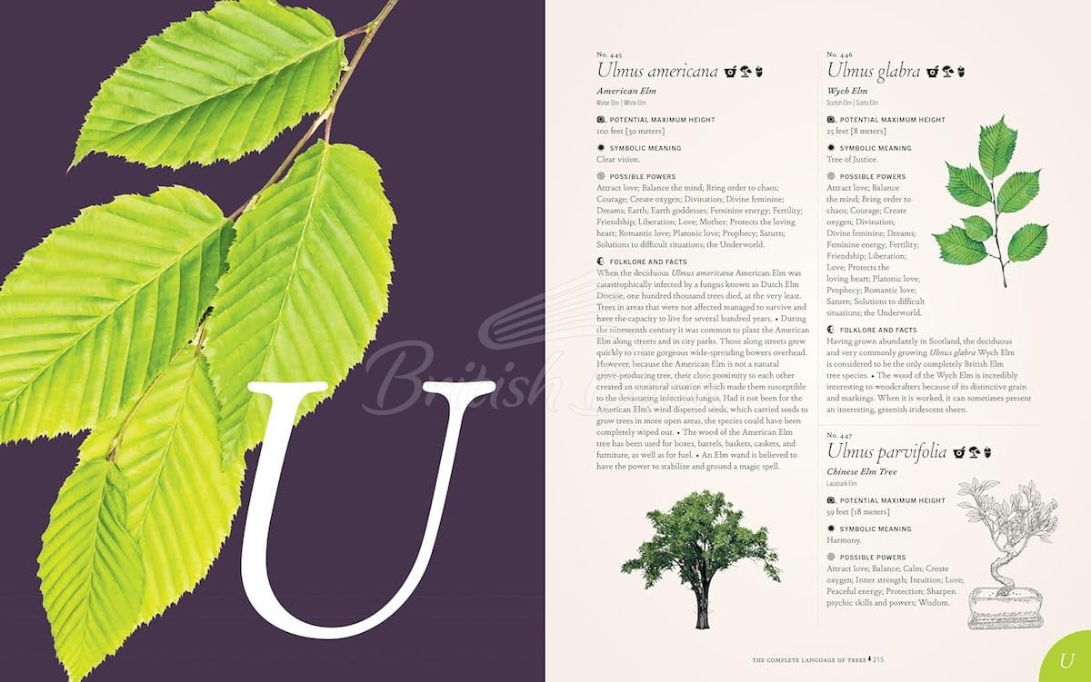Книга The Complete Language of Trees (Pocket Edition) изображение 5