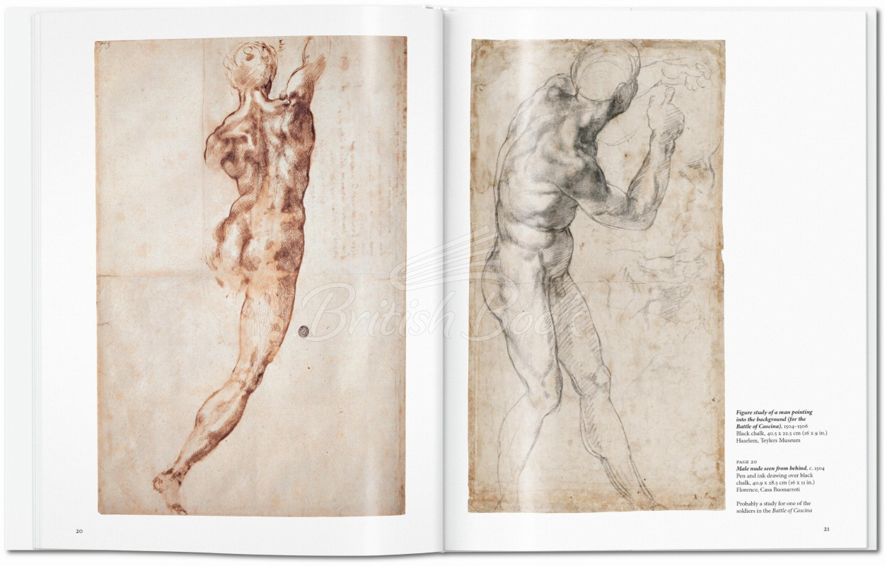 Книга Michelangelo зображення 3