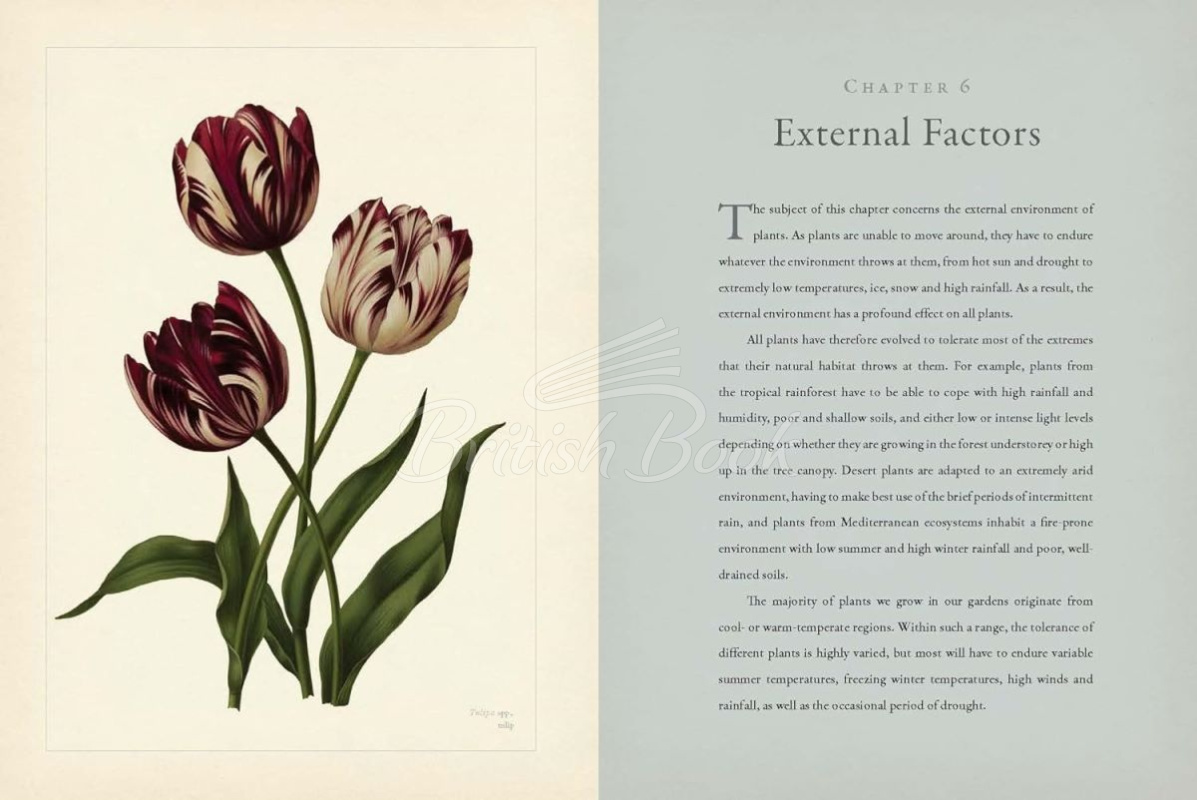 Книга RHS Botany for Gardeners изображение 4